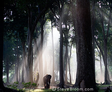 photographie de SteeveBloom 