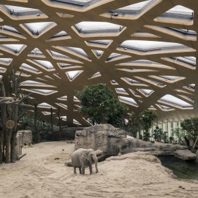 Maison des Elephants, Zurich, Markus Schietsch Architecte